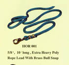 horse leads