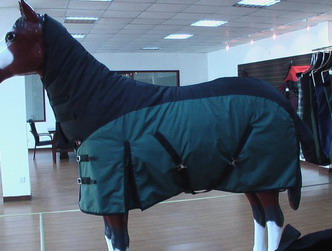 Sell horse rug, horse halter